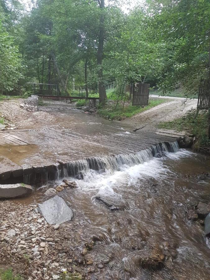 Pensiunea Valea Tonii Strungari Εξωτερικό φωτογραφία